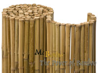 Bambus-Duesseldorf Detailansicht  Bambusrollzaun Natur