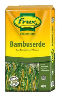 Bambus-Duesseldorf 