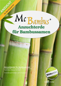 Bambus-Duesseldorf Düsseldorf Bambus-Anzuchterde