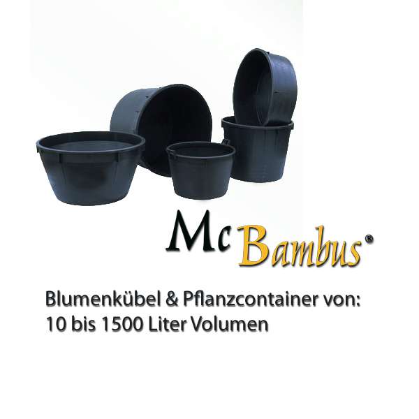 Bambus-Duesseldorf: Container / Pflanzgef��e in verschiedenen mit und ohne Lochung - Ort: D�sseldorf