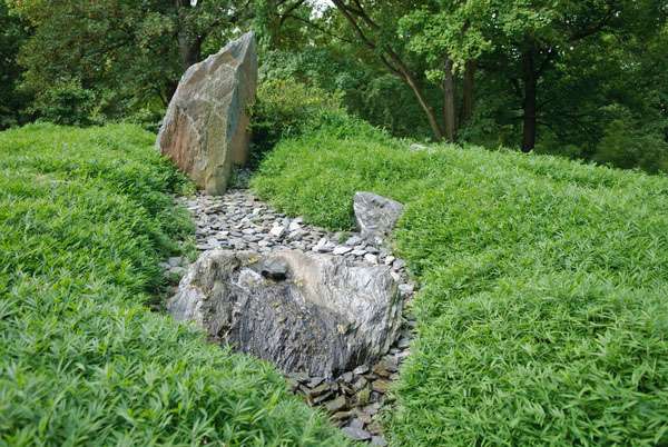 Bambus-Duesseldorf: Pleioblastus pygmaeus - Ort: D�sseldorf